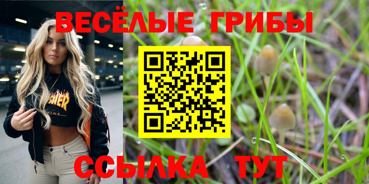 Пятигорск  Псилоцибиновые грибы прущие грибы  Галлюциногенные грибы Psilocybe  Вход с VPN 